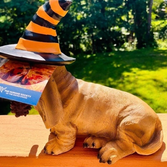 Halloween Hound Figurine with Witch Hat NWT - Picture 5 of 5